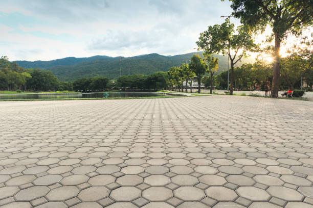 Professional Driveway Pavers in Royse City, TX