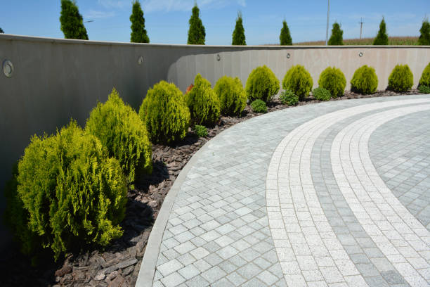 Best Driveway Repair Near Me  in Royse City, TX